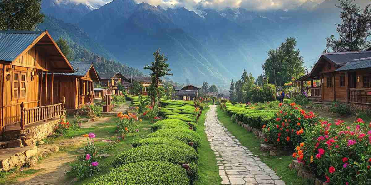 Delhi to Palampur Cab