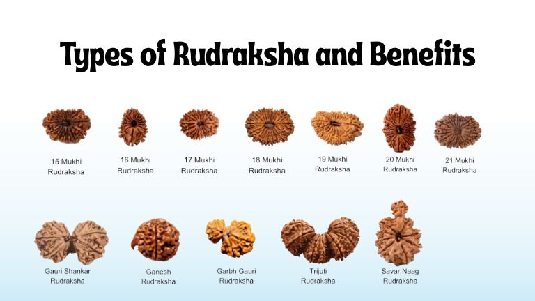 Types of Rudraksha and Benefits in 2026