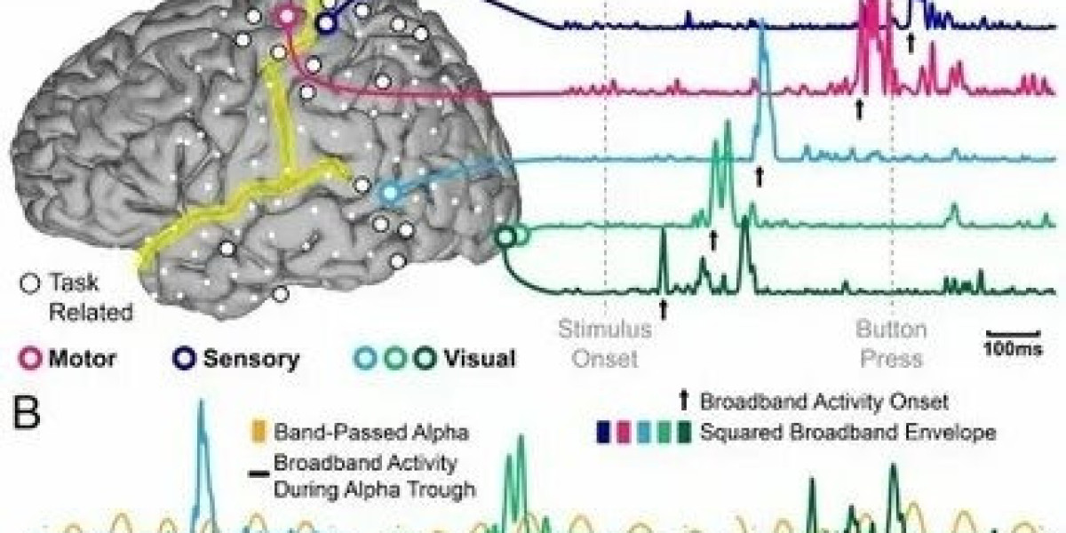 ADHD Therapy for Kids: Effective Support for Better Focus and Emotional Growth
