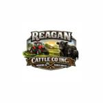 Reagan Cattle Co Inc.