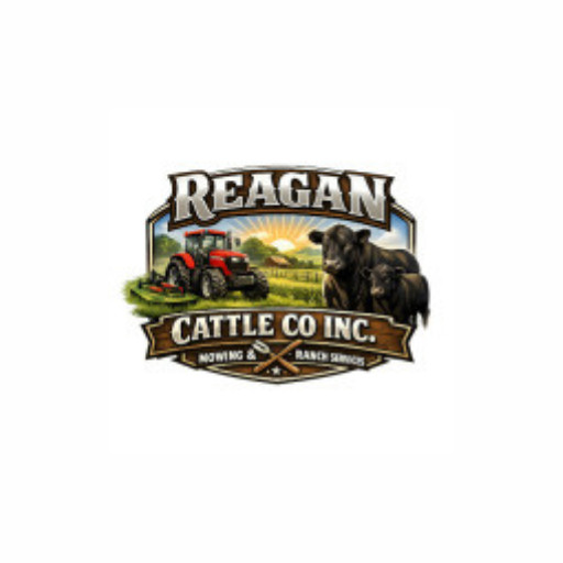 Reagan Cattle Co Inc.