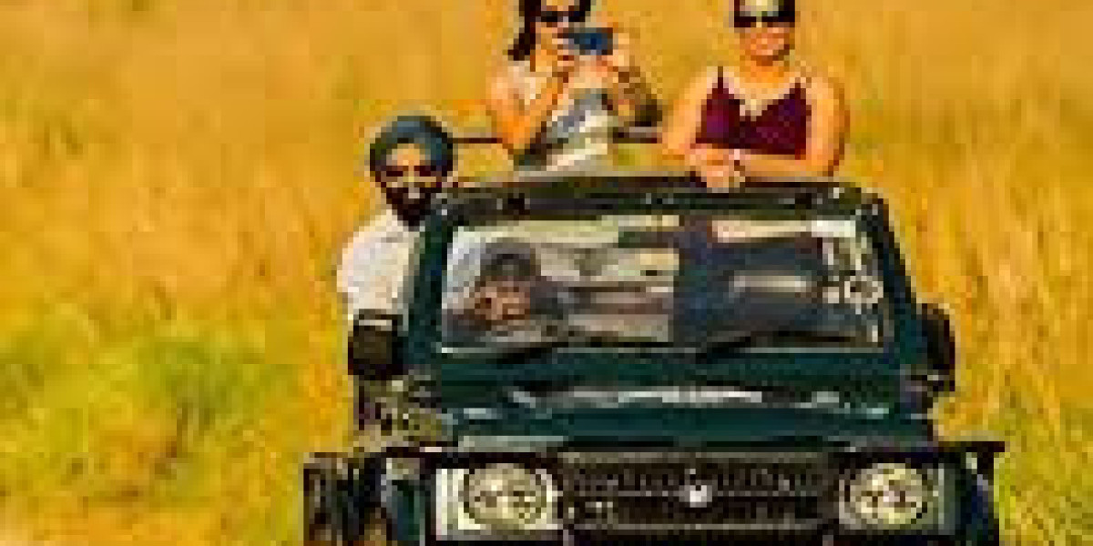 Moradabad to Jim Corbett taxi