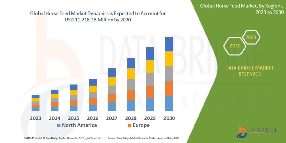 Horse Feed Market Size, Industry Insights & Future Opportunities