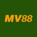 mv88 fyi