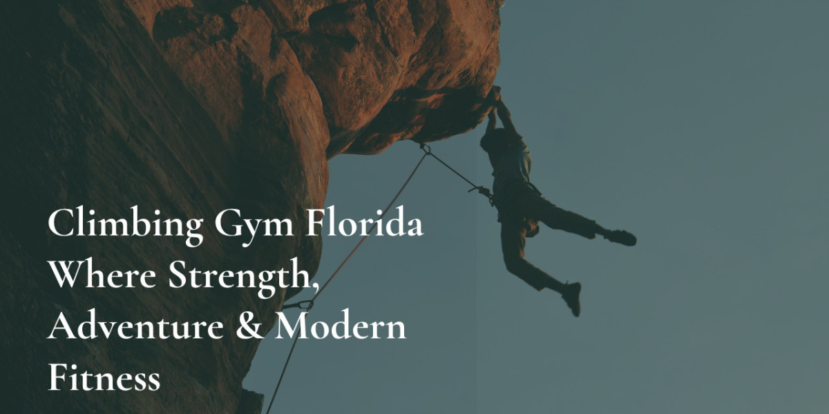 Climbing Gym Florida Where Strength, Adventure & Modern Fitness