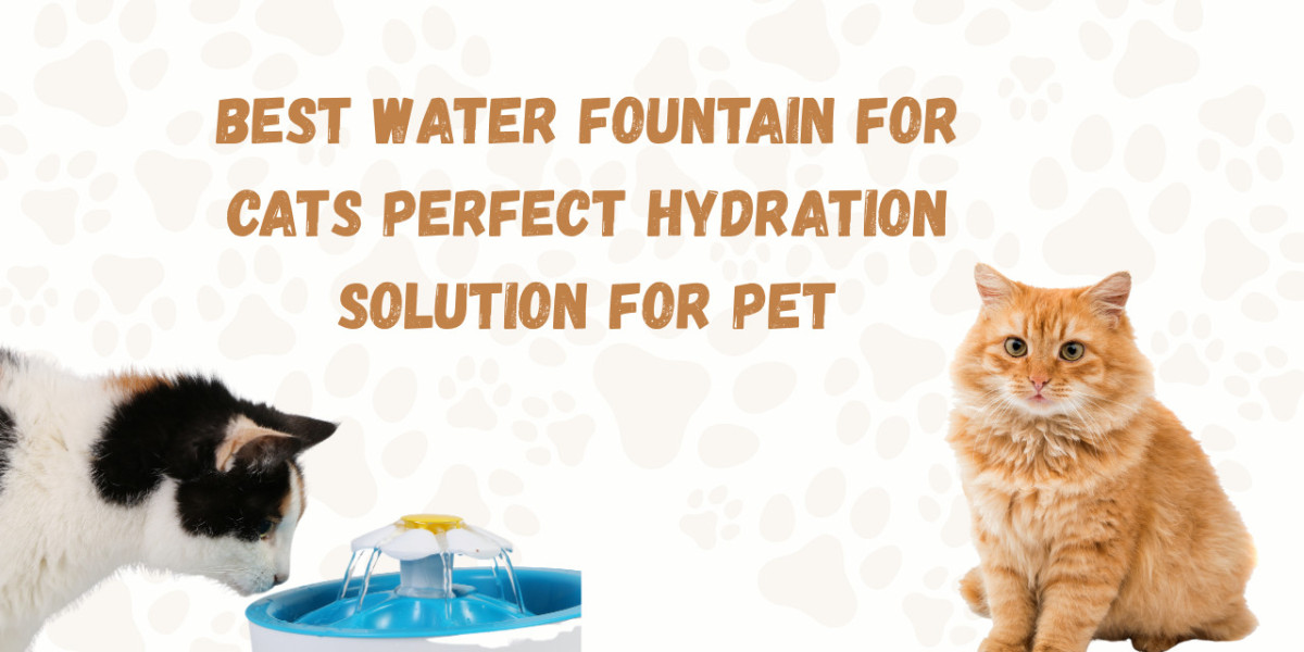 Best Water Fountain for Cats Perfect Hydration Solution for Pet