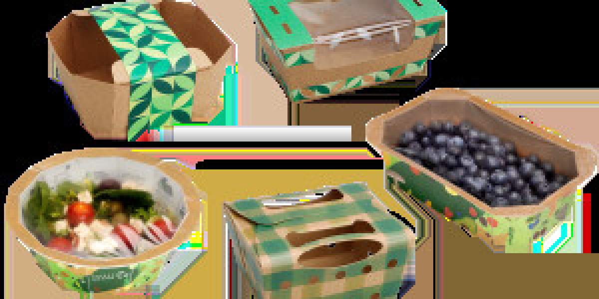 Rising Demand for Sustainable Baking Solutions Boosting Baking and Cooking Paper Market