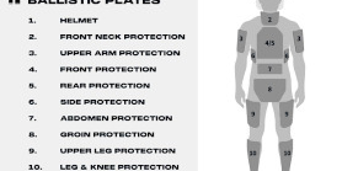Ballistic Protection Market Analysis: Key Opportunities, Regional Demand, and Competitive Landscape