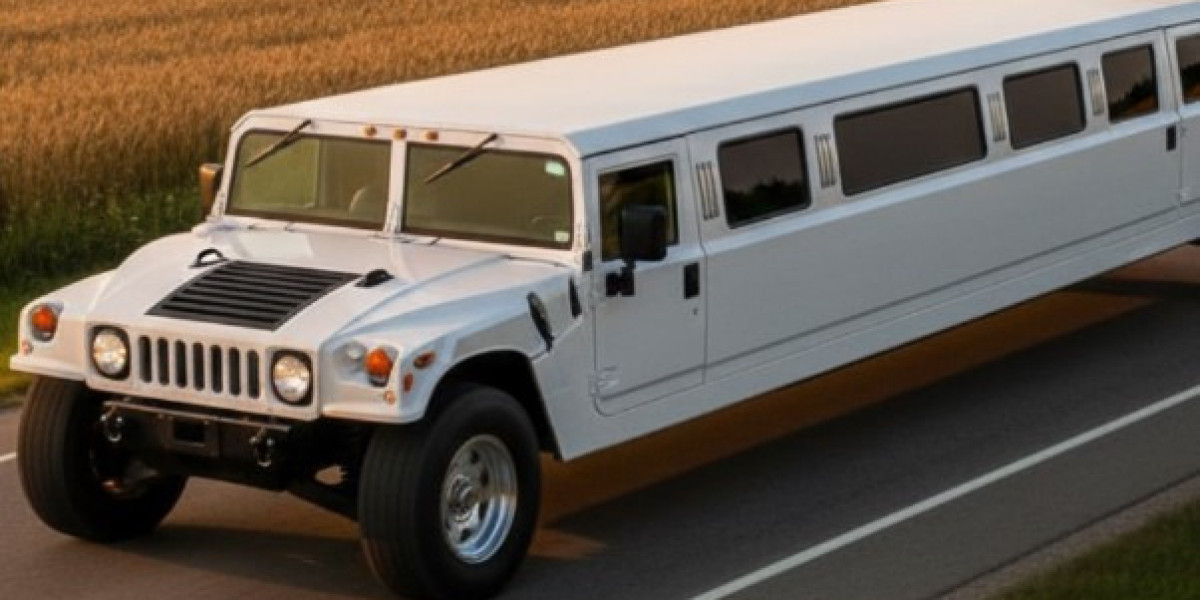 Premium Limo Service Stony Mountain | AAA VIP Limosine