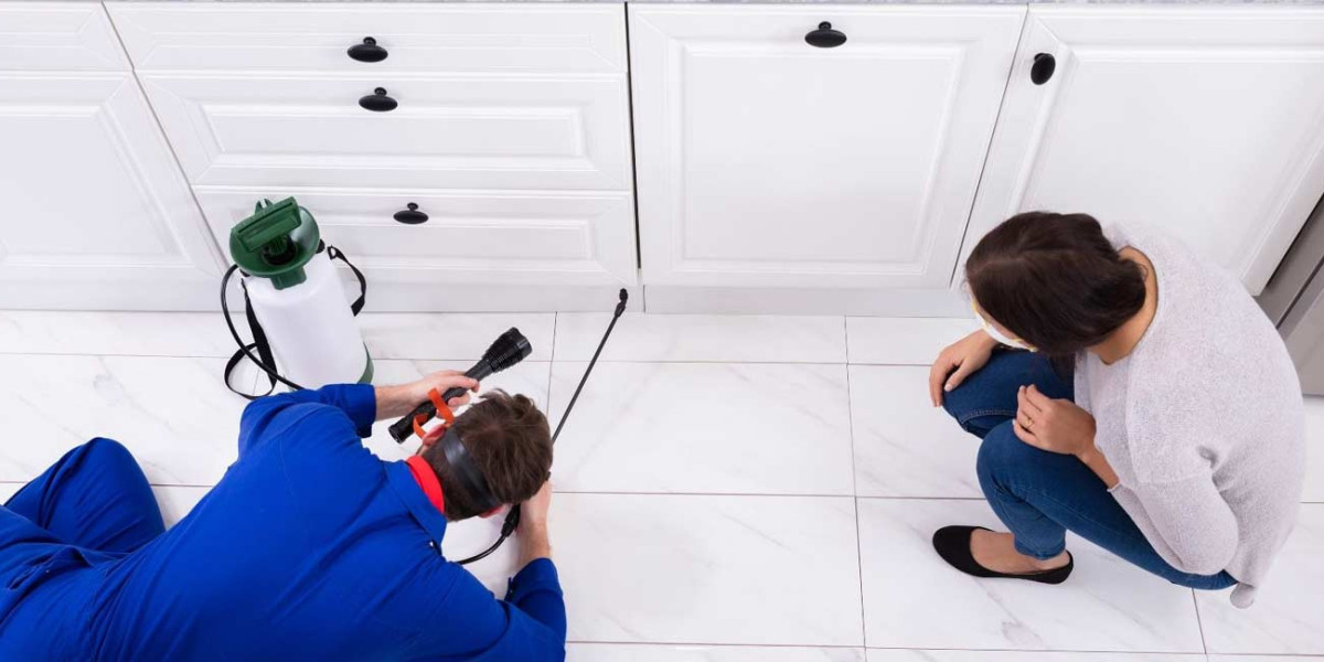 What Every Homeowner Should Know About Seasonal Pest Control in 2026