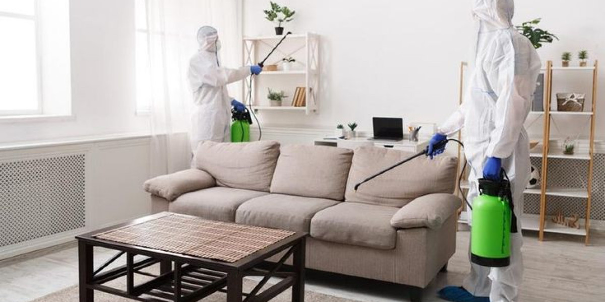 Why Homeowners Need Professional Ant Control Services in USA Year-Round