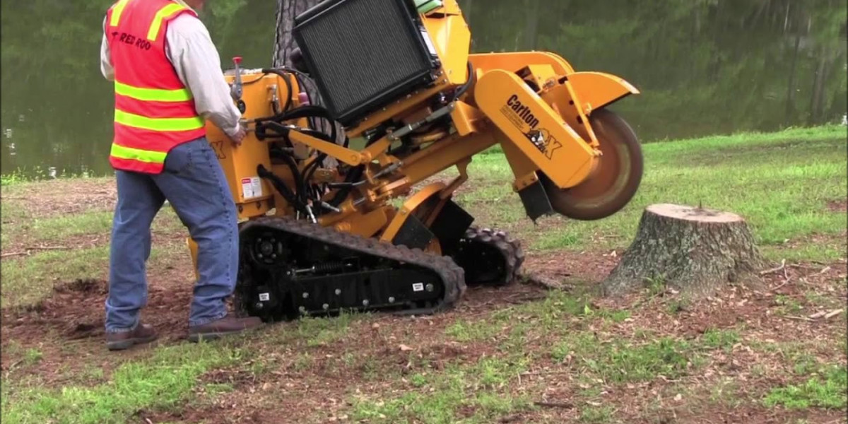 Stump Removal Service: Why Removing Tree Stumps Is Essential for a Safe and Beautiful Landscape