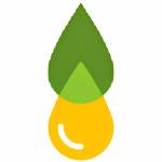 Indobioorganics Inc