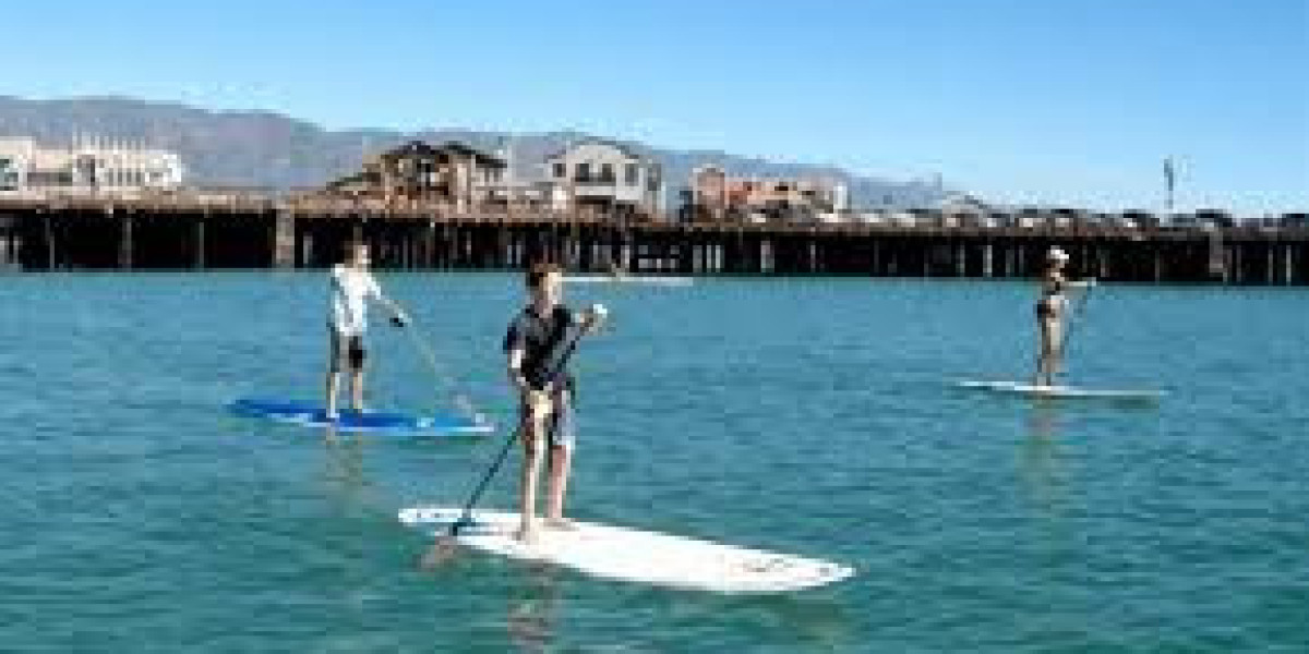 Experience the Thrill of Standing on a Wave in Santa Barbara