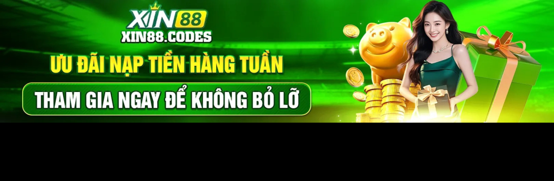 xin88 codes Cover Image