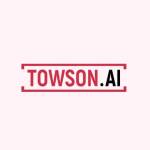 Towson Nederland BV