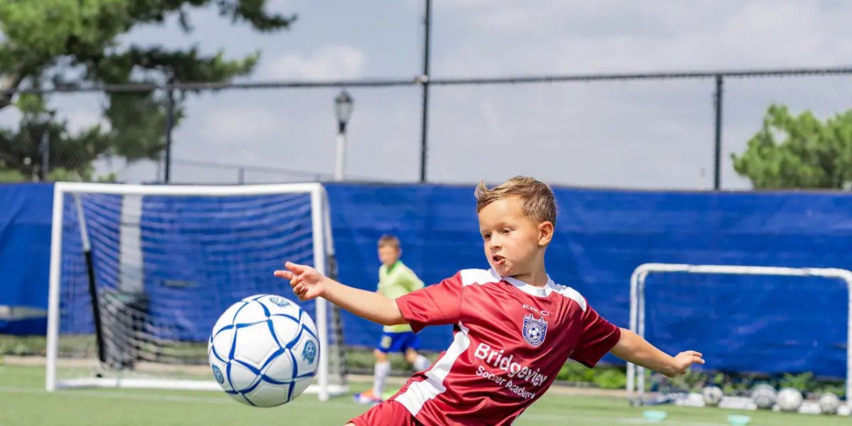 Inspiring Young Champions Through Fun and Professional Soccer Training