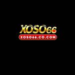 XOSO66 cocom