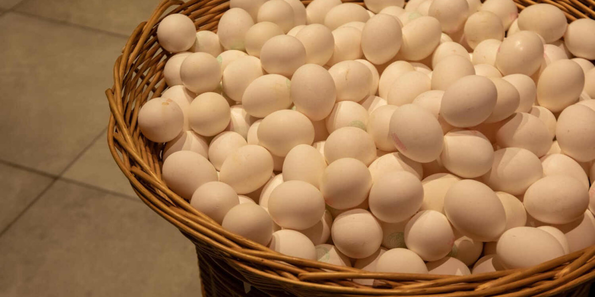 Why Is the Organic Egg Price Rising in Pakistan?