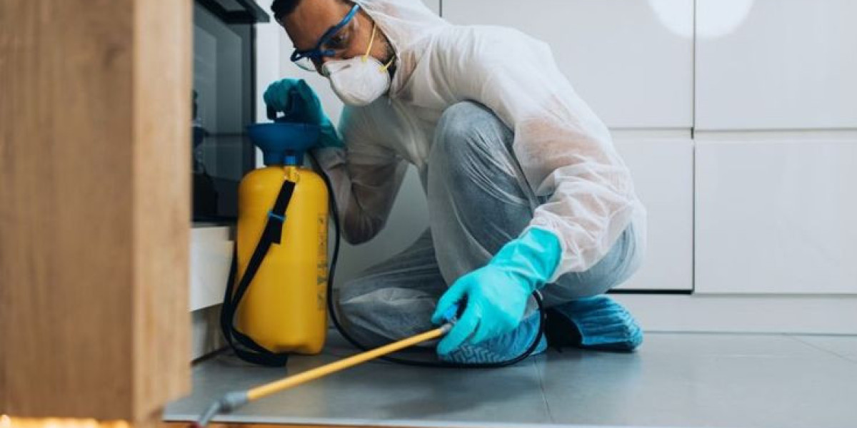 Why Professional Pest Control Services in Lahore Are Essential | KNS Pest
