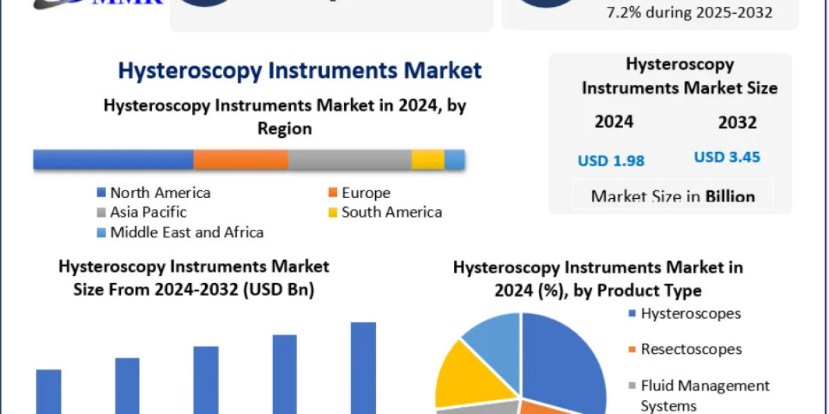 Hysteroscopy Instruments Market Performance: Benchmarking the 2024–2032 Revenue Milestone