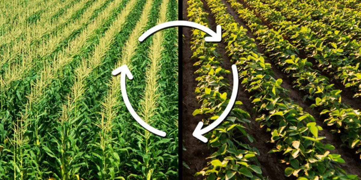Contact and Systemic Fungicide Solutions for Modern Crop Protection