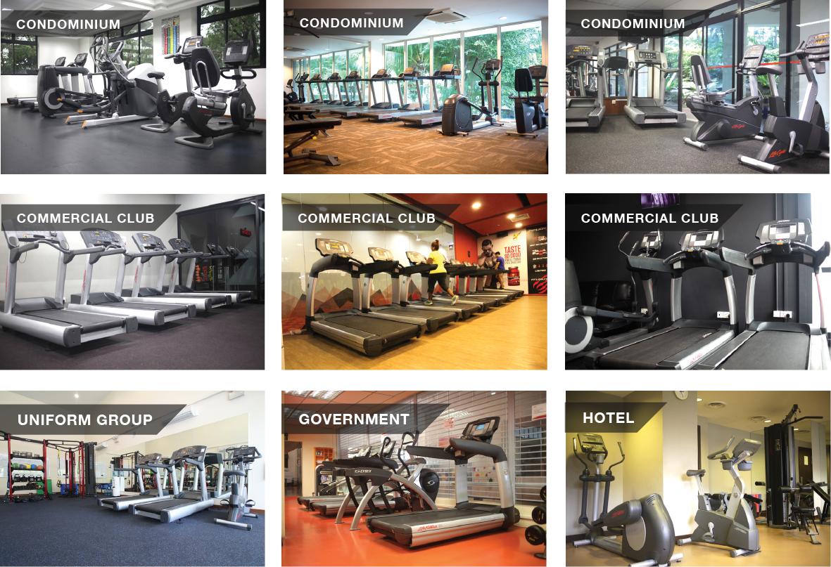 Designing Better Workout Spaces with Modern Gym Fitness Equipment - Posts Content