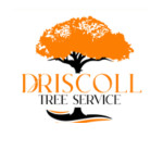 Driscoll Tree Service