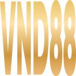 VND88 com