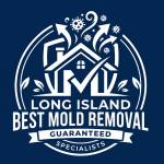 Long Island Best Mold Removal