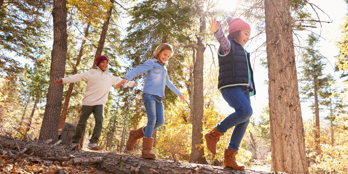 Common Mistakes First-Time Campers Make and How to Avoid Them