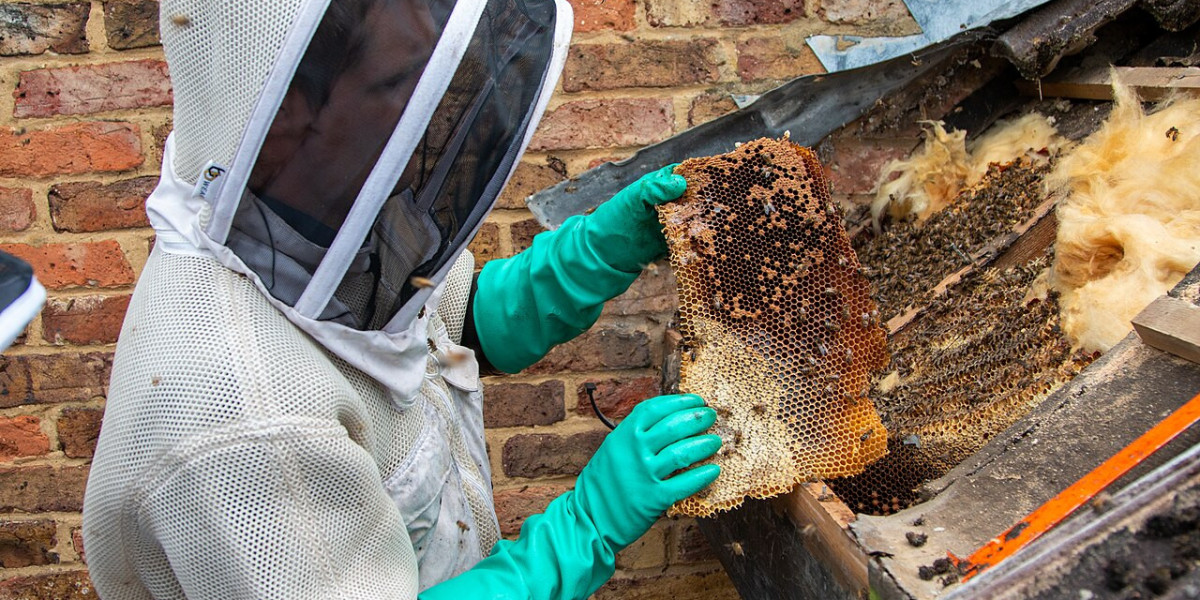 Humane Bee Removal Services in Keller, TX: Safe, Eco-Friendly Solutions for Homes and Businesses