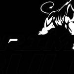 Prime Bull