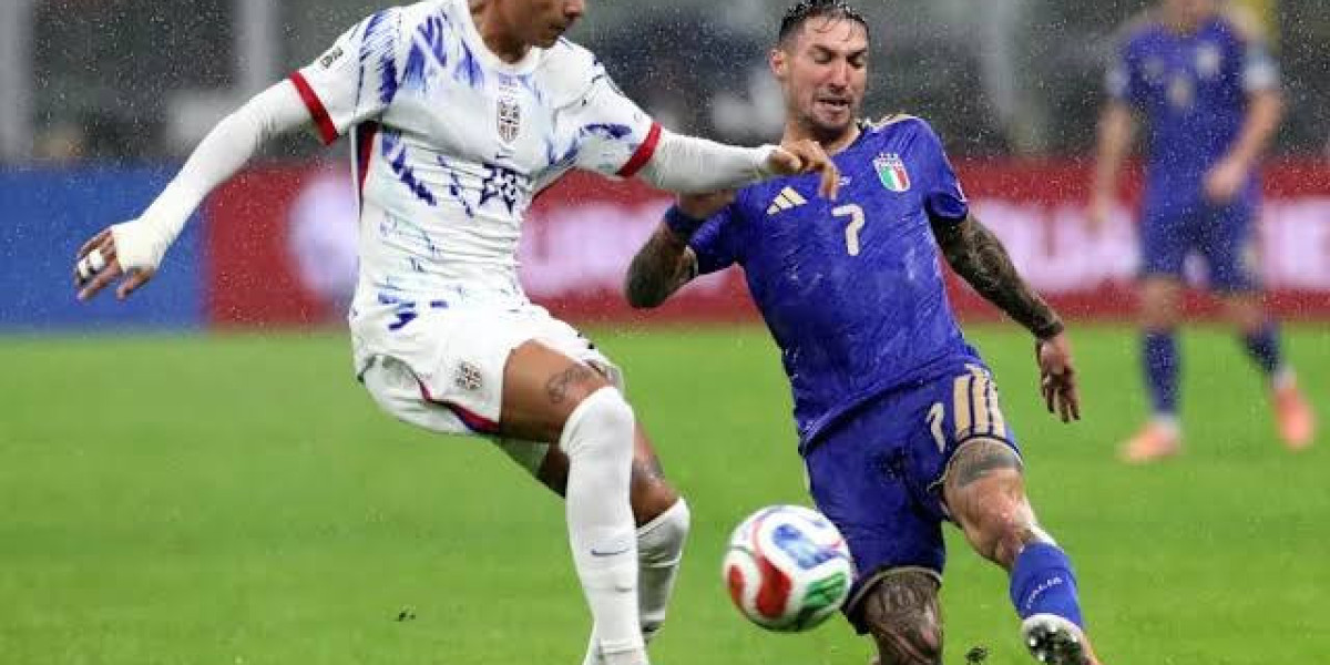 Norway National Team Goalkeeping Performances Provide Strong Foundation