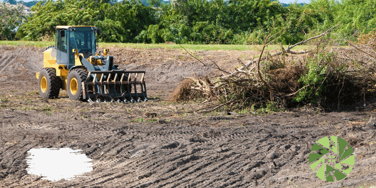 9 Signs Your Property Needs a Brush Clearing Service in Halifax
