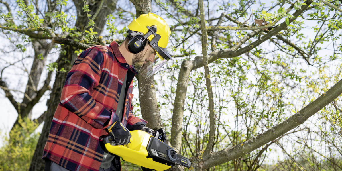 Tree Trimming Services: Enhance the Health, Safety, and Beauty of Your Landscape